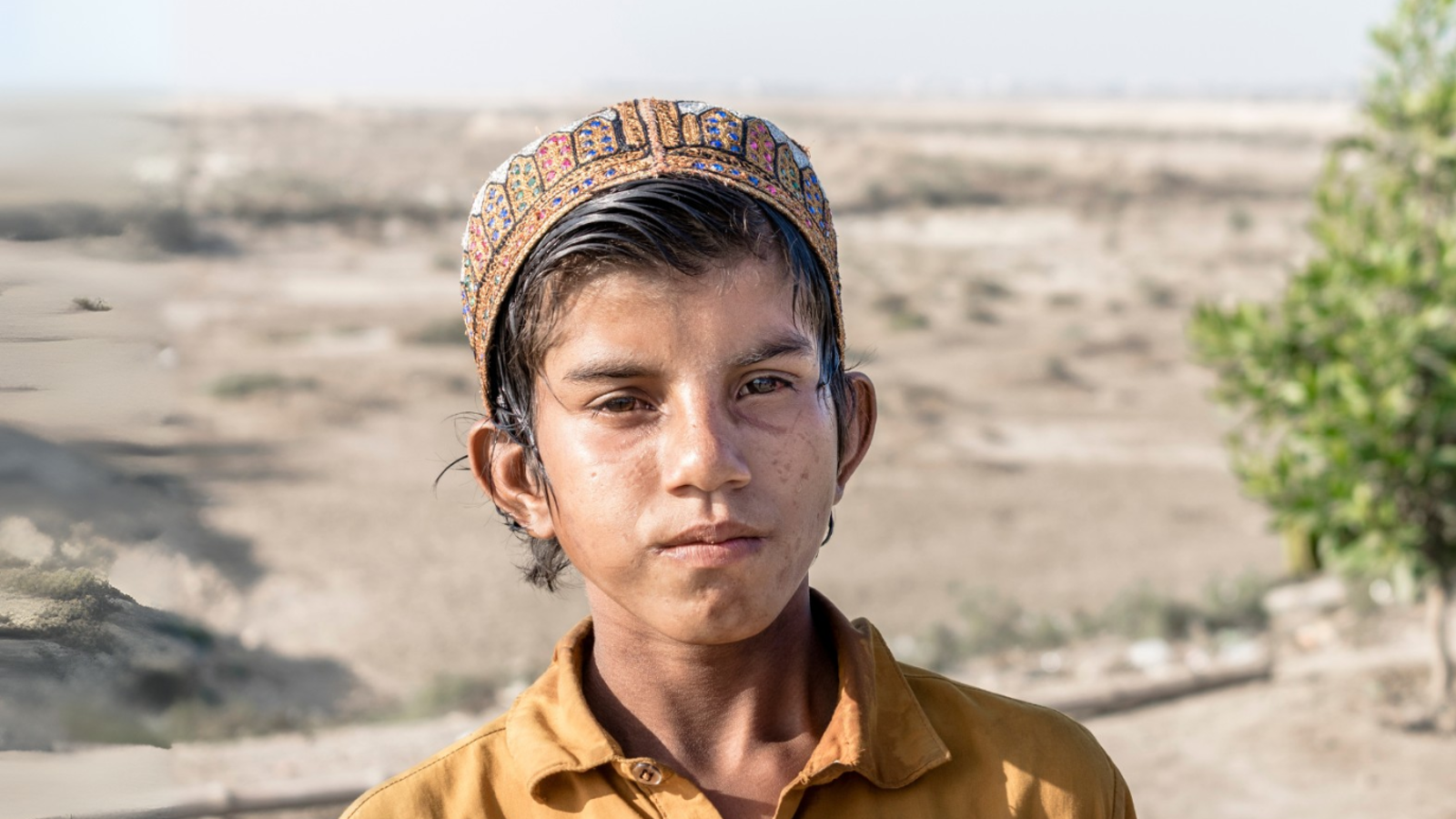 Afghanistan Emergency Appeal
