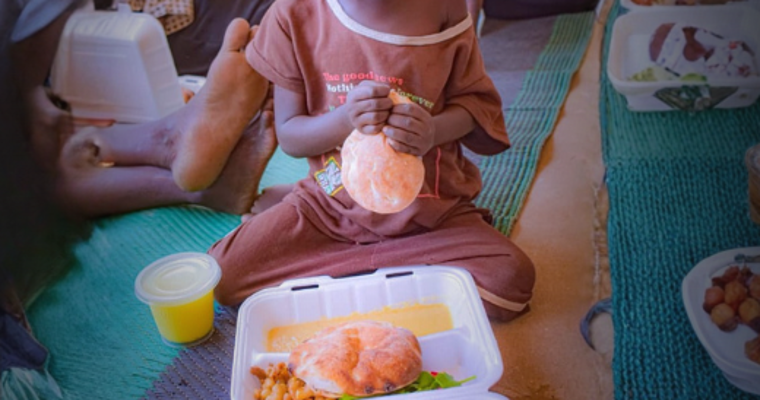 Sudan Emergency Appeal