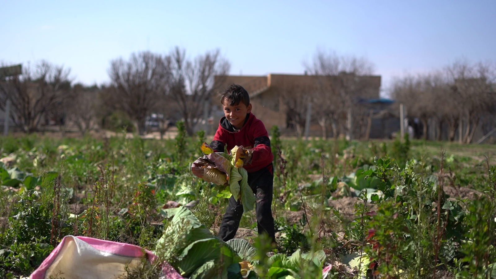 Syria: One Year After Liberation