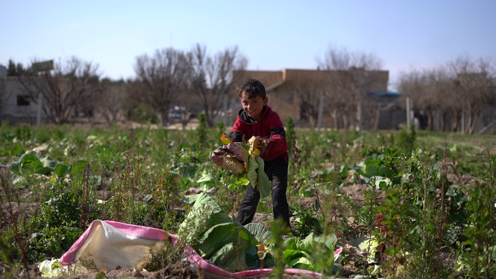 Syria: One Year After Liberation