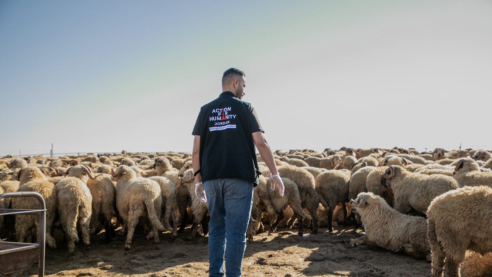 jordanqurbani1