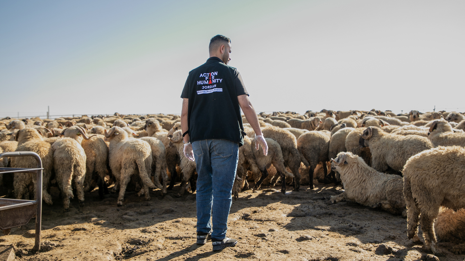 jordanqurbani1